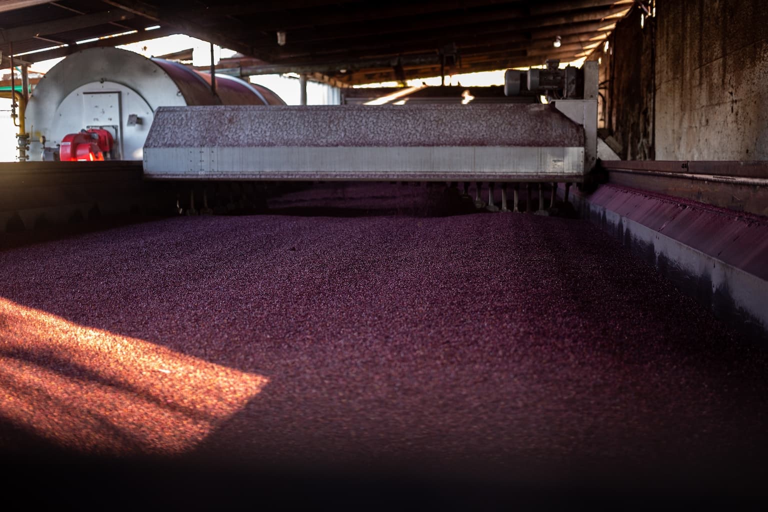 Biateca production facility with grape seeds drying