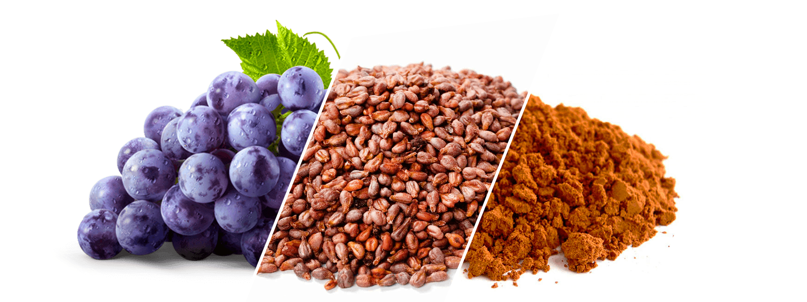 Grape seeds flour - from grapes to seeds to flour