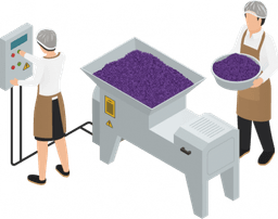 Grape seed separation