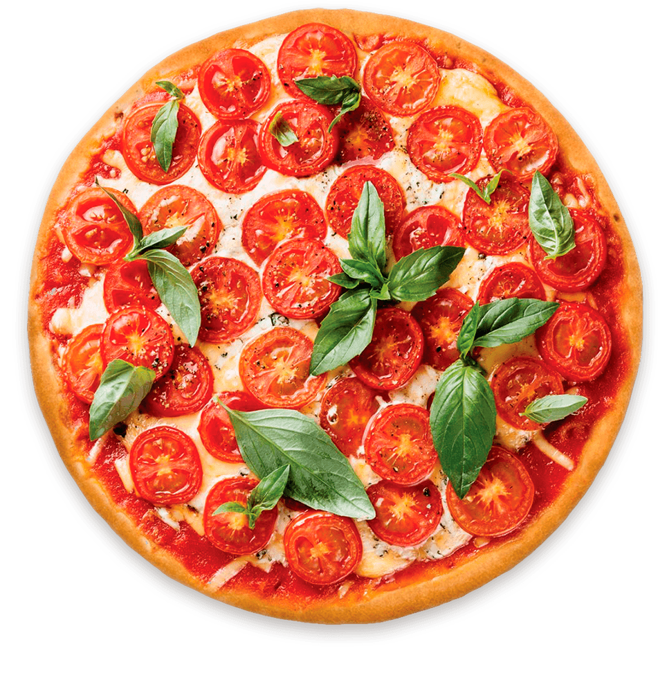 Zonnebloempitolie decorative image top